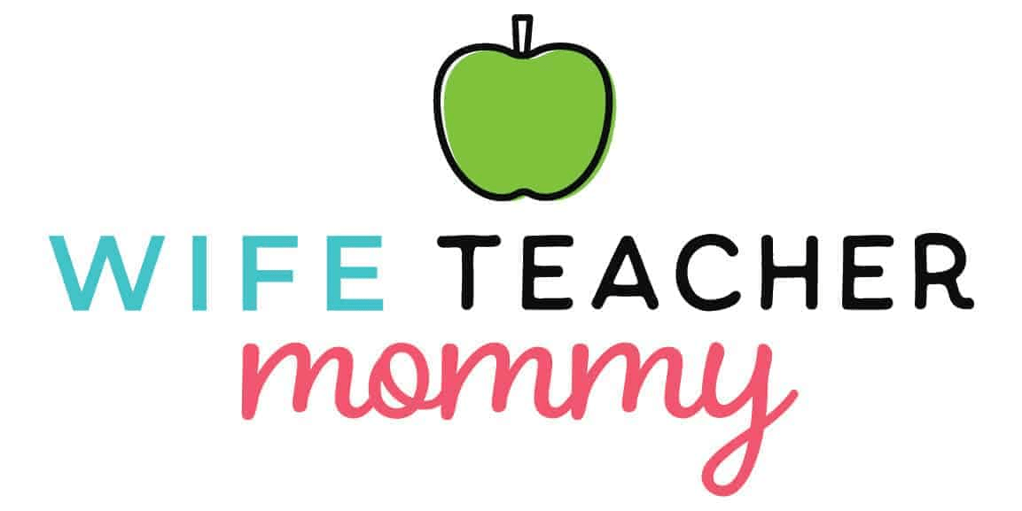 Wife Teacher Mommy